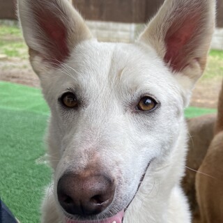 才色兼備！みんなのアイドル♫ Tracy