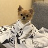 m:zuki