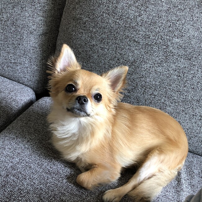 m:zukiのカバー写真