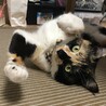  さん