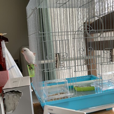 お腹空いたなぁ〜！！