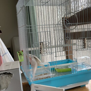 ただいまぁ〜！！