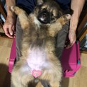 甘えん坊さんのエリーちゃん