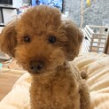 応募者多数の為一旦休止します