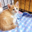 賑やか５兄妹☆活発なサラちゃん