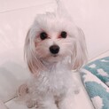 応募者多数の為一旦休止します