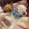 甘えん坊でいい子です