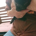 「えりちゃん」黒猫  三兄妹
