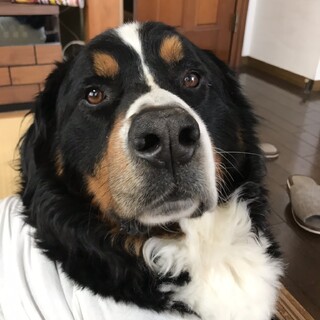 ありがとうございました