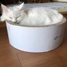 蘭丸ママ