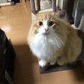 たくさんの方からのご応募ありがとうございました。