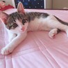 ビビちゃん♡