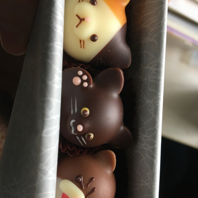 two-catsのカバー写真