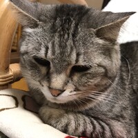 シャルル
