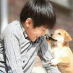 わんらぶ写真展