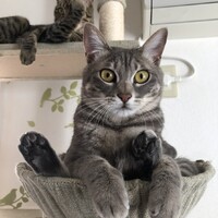 まめ丸