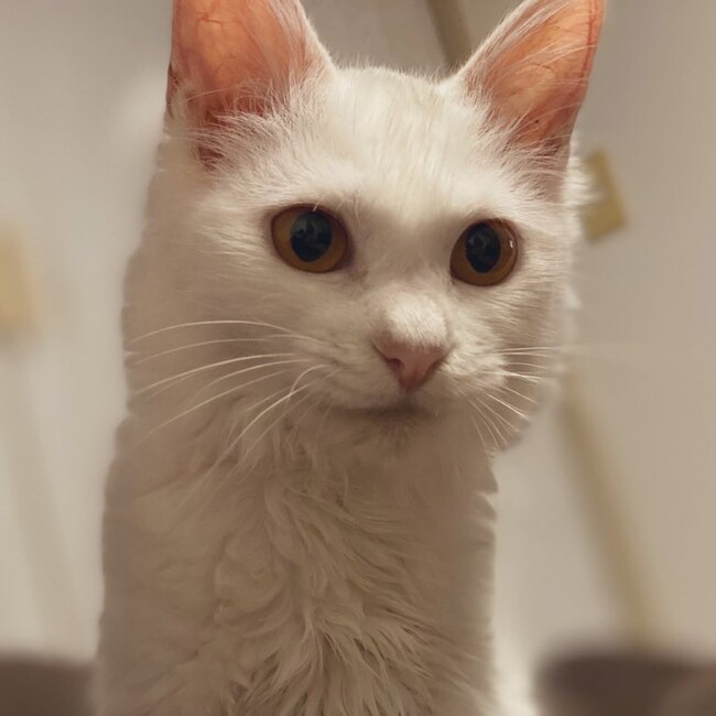 すずまるさんのカバー写真