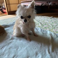 優（ゆう）