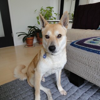 優しくて穏やか女子「あず」