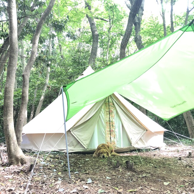OCELLE_WO_JPのカバー写真