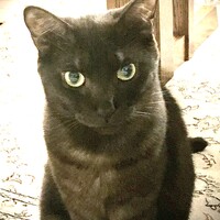 クロ助