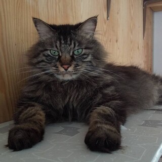 ありがとうございました★凛々しい　こたくん