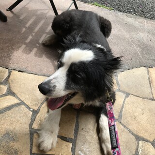 応募者多数につきいったん締め切ります