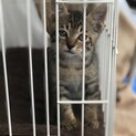 大事に育てて頂ける方