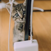 ori