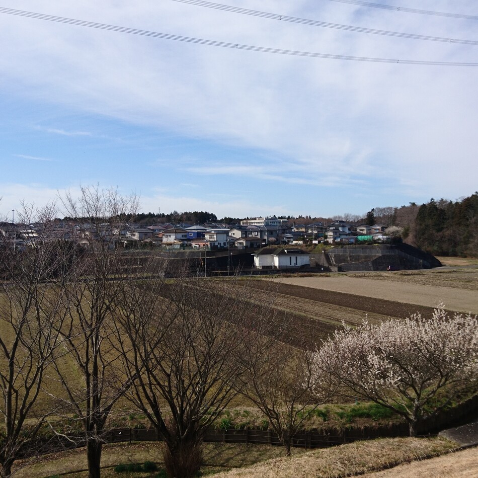 かんなのカバー写真