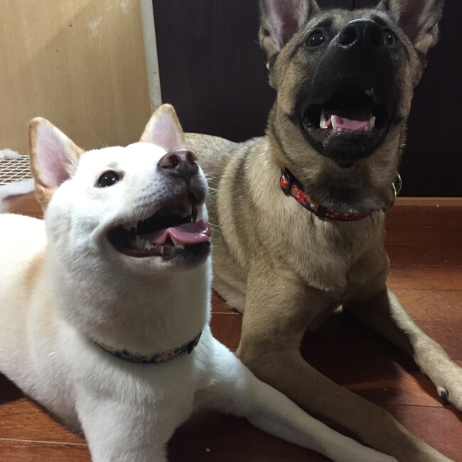 最上 終のカバー写真