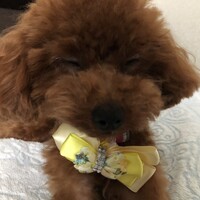 むぎ