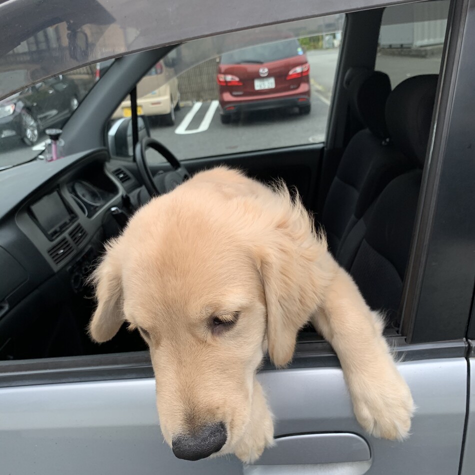 華子のカバー写真