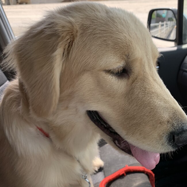 yuchunのカバー写真