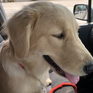 まだ6ヶ月の可愛い女の子です。