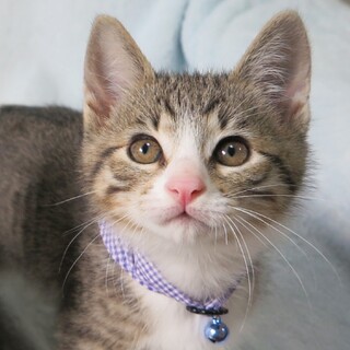 走り屋だけどマイペース☆ジロくん