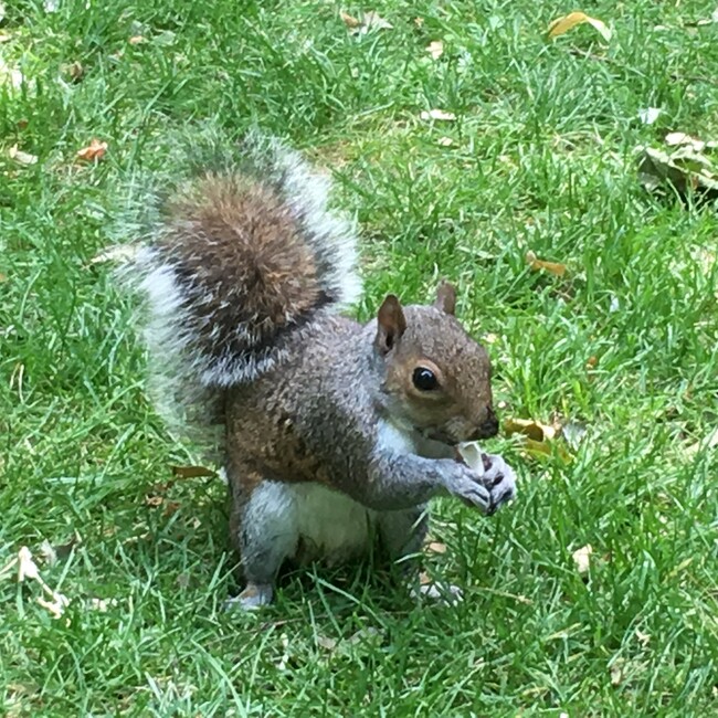 Katsu-Guchiのカバー写真