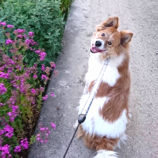 ☆素敵な家族ができました☆