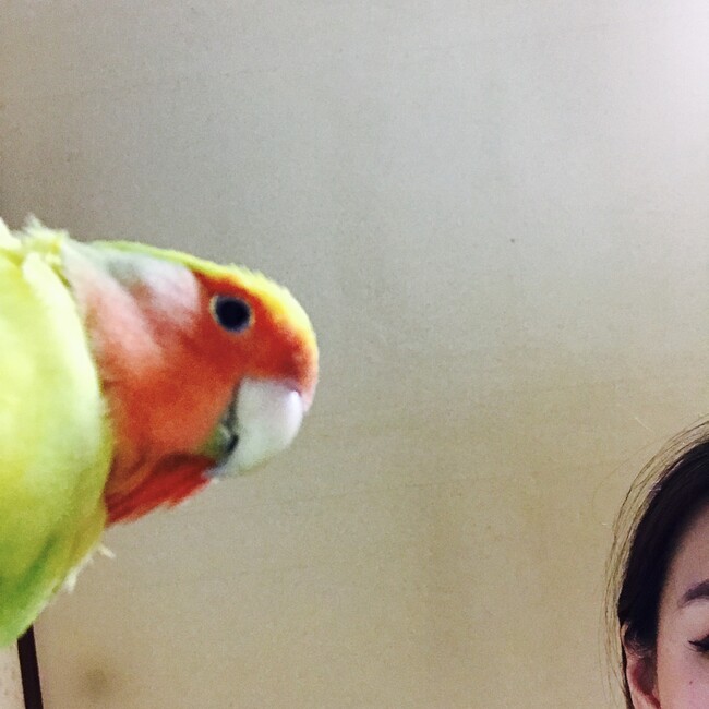 ゆきえさんのカバー写真