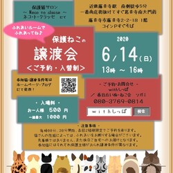 藤井寺発　予約制保護猫譲渡会