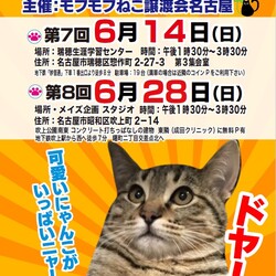 猫の譲渡会　in　名古屋市昭和区吹上町　吹上公園南東