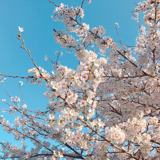 hrkx1228のカバー写真