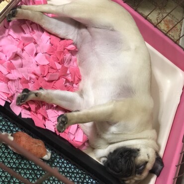 ？！？…（笑）