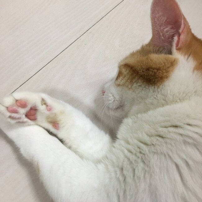Jillmamのカバー写真