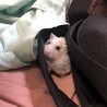 の写真