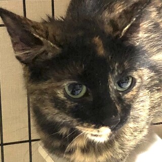 幸せになりました❣️