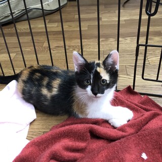 素敵なご縁がありました