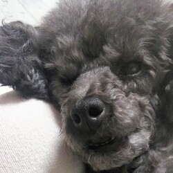 片目開いたまま