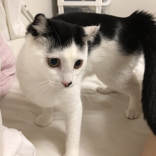 6ヶ月 元気な女の子