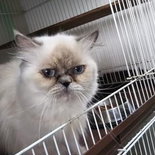 とてもお茶目です！